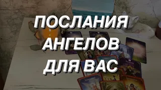 Таро расклад для мужчин. Послания Ангелов для Вас 🕊☀️