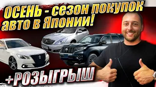 Начинается сезон покупок авто из ЯПОНИИ❗TEANA❗CROWN❗FIT❗LEVORG❗PRIUS PHV❗