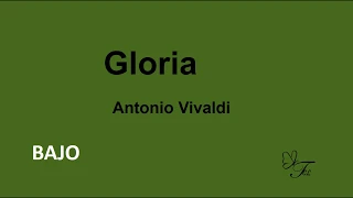 BAJO.  Gloria Vivaldi