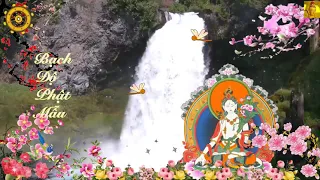 White Tara Mantra - 白度佛母 - Thần Chú  Bạch Độ Phật Mẫu -Tăng Trưởng Thọ Mạng | Chùa Sơn La