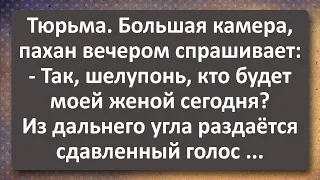 Как Пахан на Зоне Выбирал себе Жену! Сборник Самых Свежих Анекдотов! Юмор!