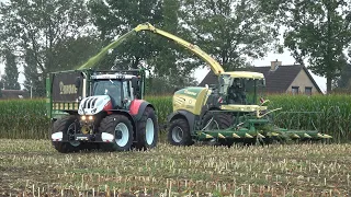 Mais hakselen door Loonbedrijf Zandman Beerze met Krone Big X 580 + Case IH en Steyr trekkers (2021)