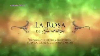 La importancia de ser feo (1/2) | La rosa de Guadalupe