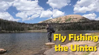 Hiking and Fly Fishing in the Uintas - Dry Fly Madness!!!!