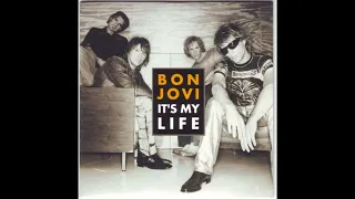 Bon Jovi Cover - It's My Life - Guitar Backing Track