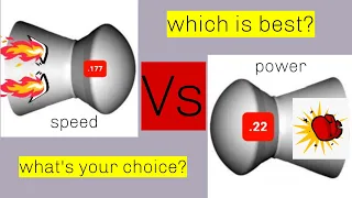 177 vs 22 which caliber is better? - Impossible question?