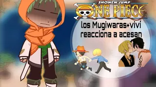 [ONE PIECE] LOS MUGIWARAS+VIVI REACCIONA A ACESAN ( ZOSAN)