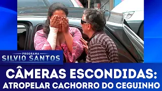 Atropelar Cachorro do Ceguinho | Câmeras Escondidas (06/05/18)