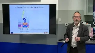 Szathmáry Eörs:  Evolúciókutatás az emberiség jövőjétől a kerékpár fejlődéséig (2018.04.03.)