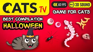 CATS TV - Best Halloween Compilation 🙀🦇🎃 3D & real games 😻📺 [4K]