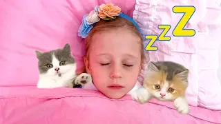 Nastya and her usual day with spoiled kittens