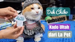 Dek Chiko Unboxing Kado Ultah La Pet Galery. funny video try not to laugh, funny animals cat lover