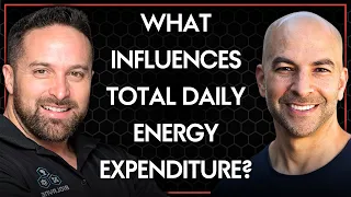 What factors influence your total daily energy expenditure? | Peter Attia and Layne Norton