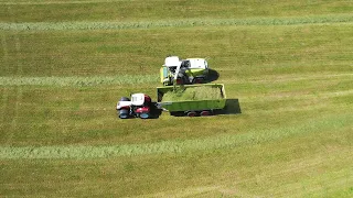 Luftaufnahmen von Zahmen mit Claas Jaguar beim Gras häckseln 2021