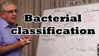 Bacterial Classification