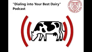 E2: "Dialing into Your Best Dairy" Podcast - Calves: Birth Through Weaning