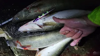 Shore casting for Lake Erie walleye in April.