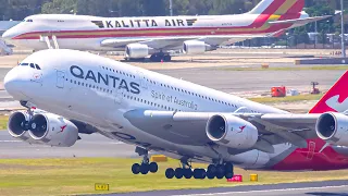 70 BIG PLANES from CLOSE UP | A380 B737 A350 B777 B767 B787 A330 | Sydney Airport Plane Spotting