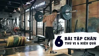 6 bài tập cho một buổi tập chân hiệu quả | My 6 Favourite Leg Exercises | SHINPHAMM