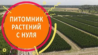 Питомник растений с нуля. Как выйти на самоокупаемость за 4 года?