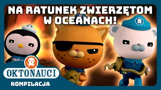 Oktonauci - 🐻‍❄️🐙 Na ratunek ZWIERZĘTOM w oceanach! ⛑️🛟 | Kompilacja | Całe odcinki