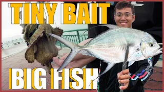 Master Baiting with a BEDOK JETTY KING pt. 2
