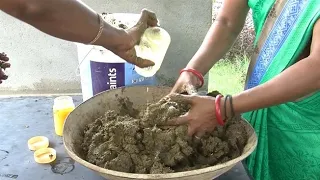 Stimulateur biologique de croissance pour les cultures (résumé)