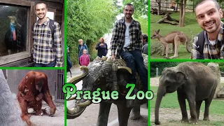 Prague Zoo, a zoo with a Chair Lift!