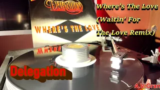 Delegation - Where's The Love (Waitin' For The Love Remix) /vinyl/