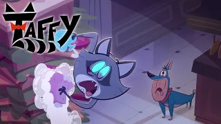 Taffy 🐱 The Racoon Moon! | cartoons for kids