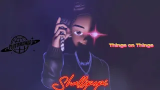 Shallipopi - Things On Things (Official Animation)