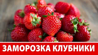 КЛУБНИКА на ЗИМУ, Больше НЕ Покупаю! ТОП-3 Способа Заморозки Клубники на Зиму 🍓 Виктория Субботина