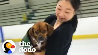 How Olympic Figure Skater Mirai Nagasu’s Rescue Dog Helped Her Make The Team | The Dodo Teammates