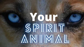 What Animal Are You According To Your Zodiac Sign