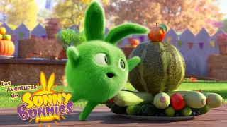 Las Aventuras de Sunny Bunnies | Concurso de comida | Dibujos para niños
