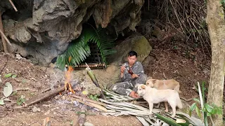 Build a shelter in the deserted forest. Camp food from natural herbs and forest plants