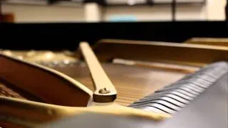 Nocturne in B flat minor - Frédéric Chopin
