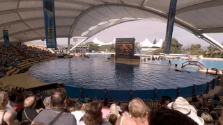 2019-11-05 Tenerife - Loro Parque - Orca Ocean show