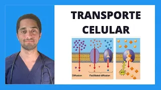 TRANSPORTE CELULAR | PASIVO Y ACTIVO | BIOLOGÍA CELULAR