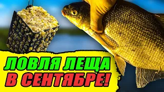 Пробую ЛОВИТЬ ЛЕЩА на ДОНКУ и ФИДЕР в СЕНТЯБРЕ! Делюсь рецептом САМОДЕЛЬНОЙ ПРИКОРМКИ на ЛЕЩА