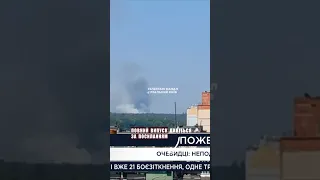 🔥 Біля Києва горить ліс!