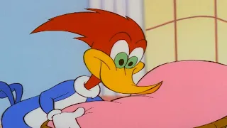 Woody receives a big surprise | Woody Woodpecker