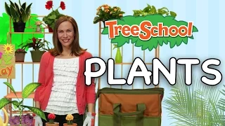 Plants | Treeschool | Episode 2 | Part 1| Educational Kids Video