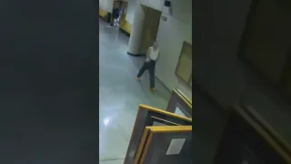 Guy Successfully Escapes From Prison #wtf #viral #shorts #shortsfeed