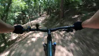 Riding downhill track with Specialized Rockhopper Expert