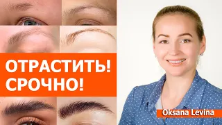 Отрастить густые брови быстро. Три отличных рецепта