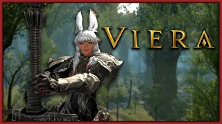 Everything about Viera - FFXIV Races