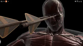 Kung Jin Fatal Blow/Xray/fatality - Mortal Kombat Mobile