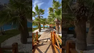 Jaz Mirabel Beach Resort 5* hotel, Egypt, Sharm el Sheikh / отель Шарм, Египет, Шарм-эль-Шейх