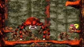 Donkey Kong Country 3 Dixie Kong's Double Trouble Arich's Ambush